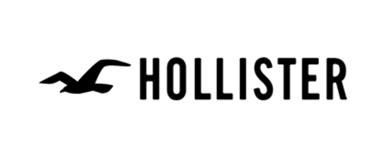 Hollister logo- ShopUSA