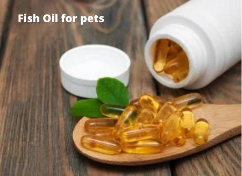 Fish Oil for pets