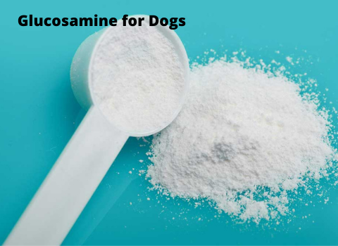 Glucosamine for dogs