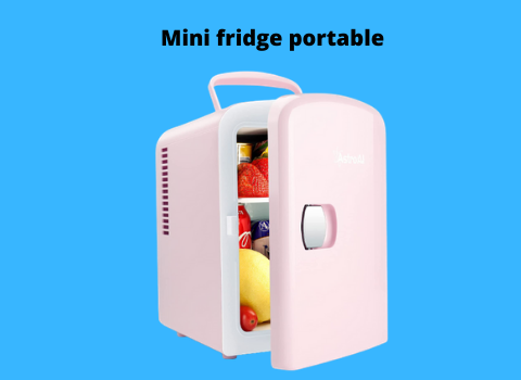Mini fridge portable